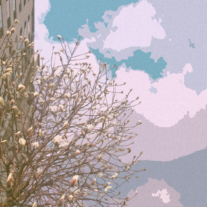 寡妇遗像前被肉波多野
