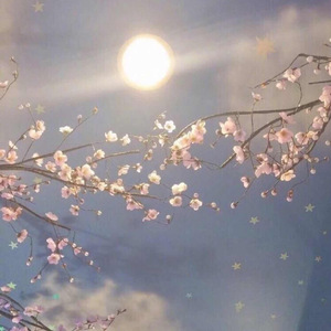 寡妇遗像前被肉波多野
