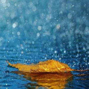 寡妇遗像前被肉波多野
