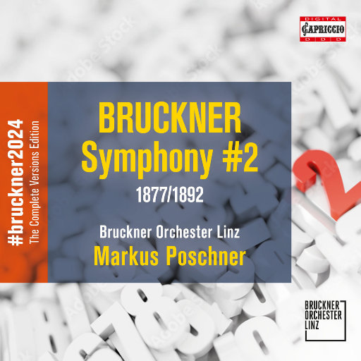 寡妇遗像前被肉波多野
