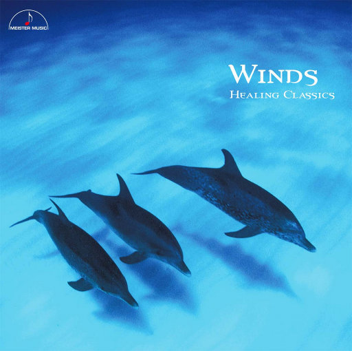 寡妇遗像前被肉波多野
